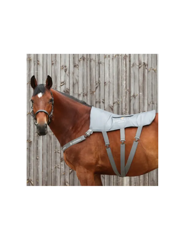 Retour Gratuit Tapis De Massage Equilibrium - Cheval