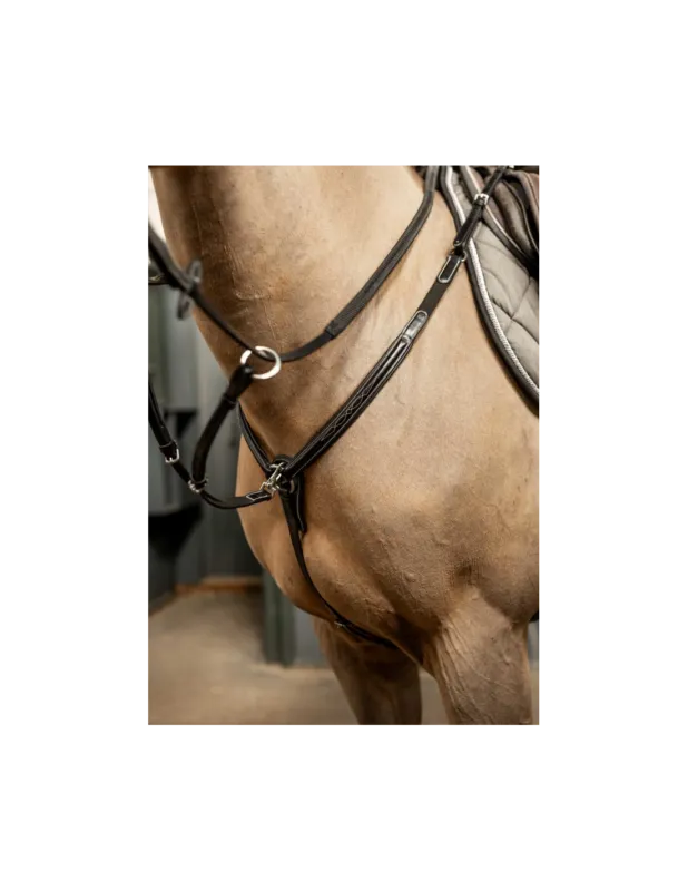 Collier de chasse Arezzo - HFI - Noir/Argent - Cob Vente Directe