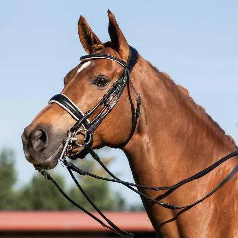 Petit Prix Bride ACAVALLO dressage cuir rond Giocanda - Noir - Cheval