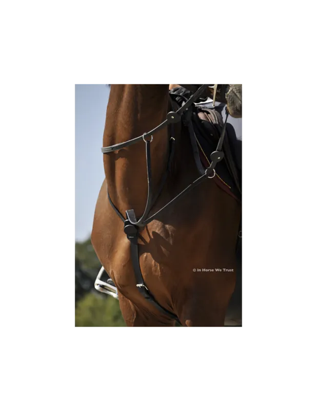 Martingale C-Cure  Anneaux – IHWT – Noir – Cob – Non Prix Choc