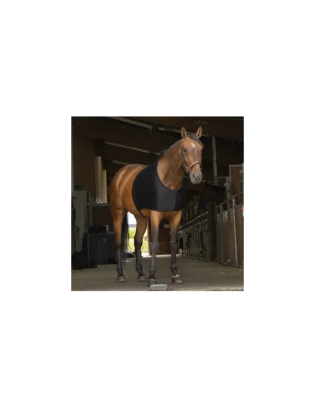 Protection d'paules - Equithme - Poney Dernier Modle