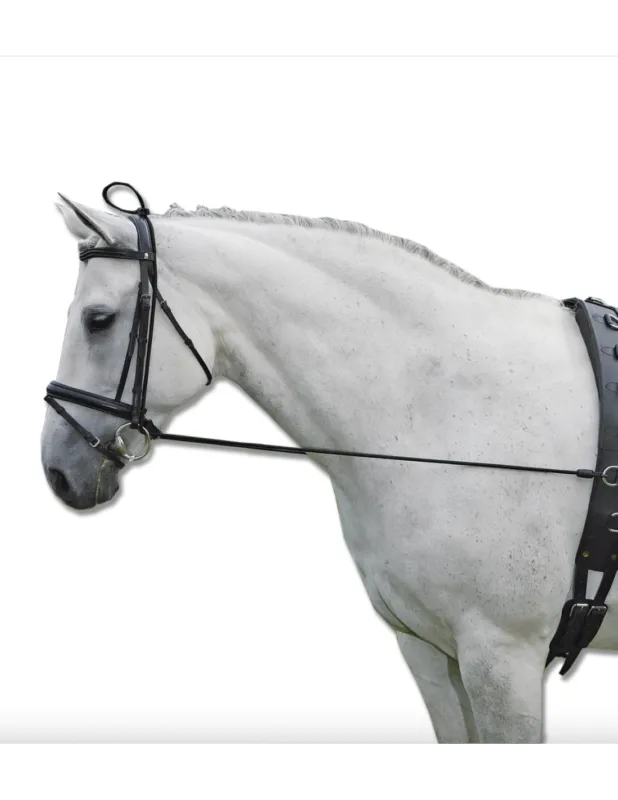 Dernier Modle Elongateur d'encolure lastique - Waldhausen - Poney