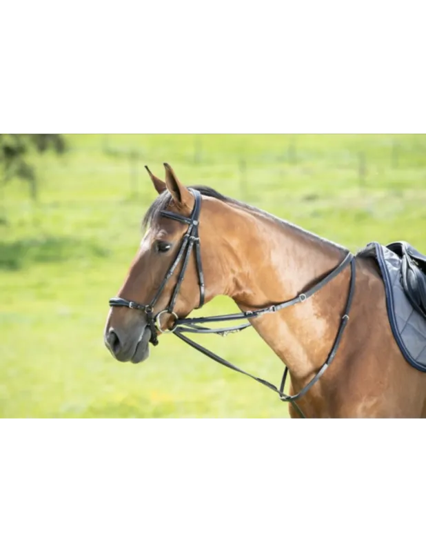 Prix Promo Enrnement Thiedeman/Howlett - HFI - Noir - Pony