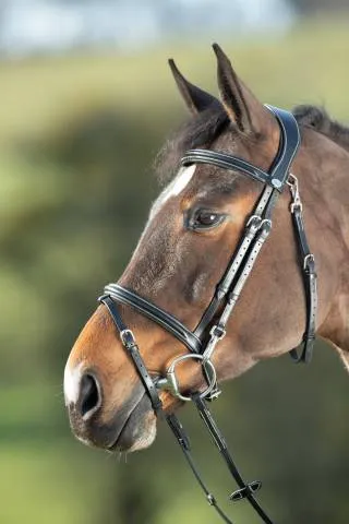 Haute Qualit Bridon Functional HFI - NOIR - COB