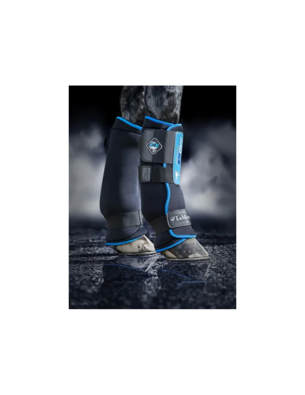 Prix Promo Gutres Pro Ice - LeMieux - M