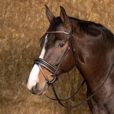 Bridon Rosegold Wide – Harry&rsquo;s Horse – Noir – Cob Offre Exclusive