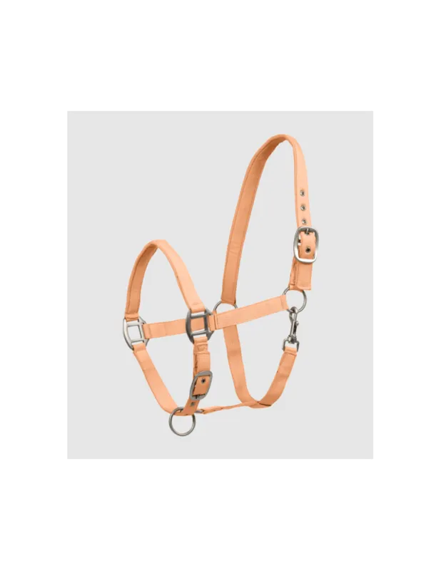 Licol Satin - Waldhausen - Gris Chrome - Shetland Offre Exclusive