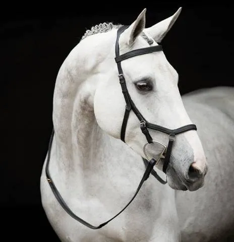 Must-Have Bridon Rambo Micklem Competition – Horseware – confort optimal – BRUN – X-FULL