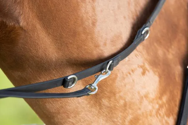 Enrnement Thiedeman training aid HFI - NOIR - FULL Meilleur Prix
