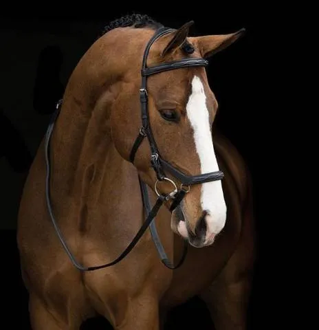 Bridon Micklem Deluxe Comptition - Horseware - confort optimal - NOIR - PONY Meilleur Prix