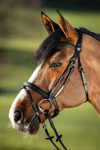 Marque Bridon Soft HFI - NOIR - COB