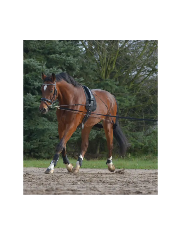 Enrnement Pessoa - Waldhausen - Poney/Cob Retour Gratuit