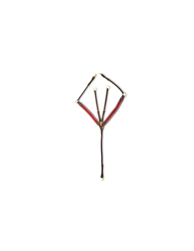 Collier de chasse lastique + Martingale - HFI - Cuir noir/Bleu Ciel - Pony Paiement Scuris