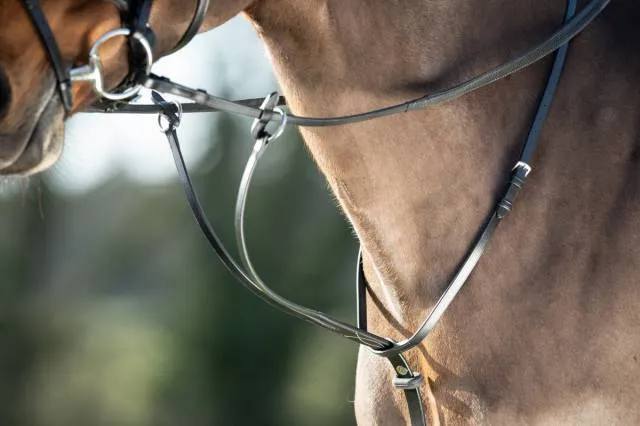 Running martingale – HFI – Caoutchouc et laiton – NOIR – COB Offre Spciale