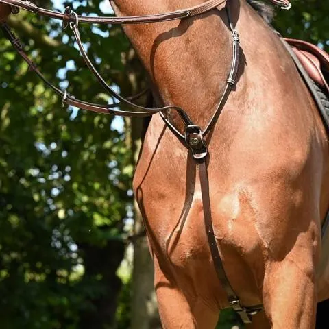 Nouvelle Collection Martingale anneaux - Collection Week - Jump'in - Full - Acajou