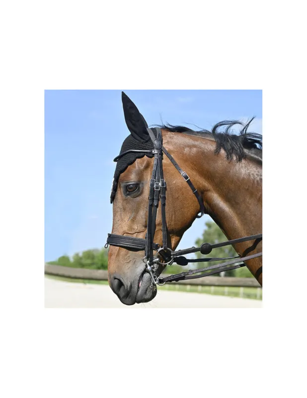 Bride Evolution Contact Dressage avec Pull-Back - IHWT - Noir - Cob - Oui Usine Directe