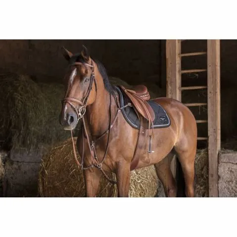Commande En Gros Bridon Eric Thomas Hybrid Shiny - Cheval - Havane
