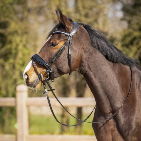 Authentique Bridon anatomique Skye - QHP - Confort optimal - Noir - Poney
