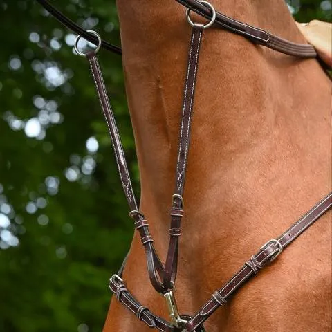 Super Prix Martingale de Collier Monday et Tuesday - Cob - Acajou
