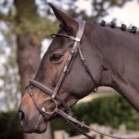 Bridon Wednesday muserolle combine - Collection Week - Jump'in - Cob - Havane - Combine Dernire Chance