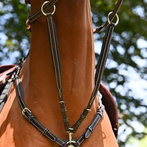 Martingale de collier Wednesday et Crystal - Cob - Havane Meilleur Prix