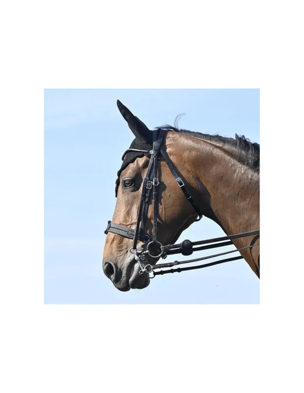 Populaire Bride Evolution Soft T Contact Dressage avec Pull Back - IHWT - Noir - Cob - Oui
