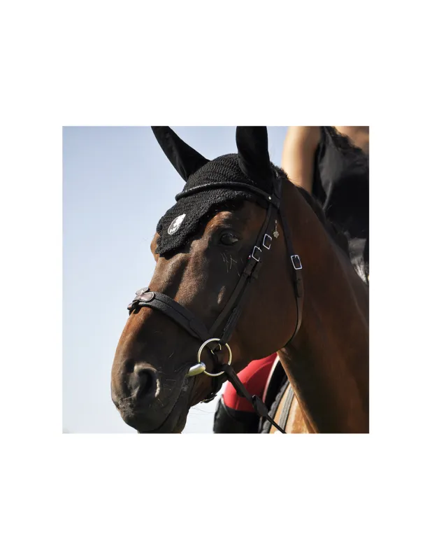Bridon volution Soft T Contact - IHWT - Noir - Cob - Non Jusqu puisement Des Stocks