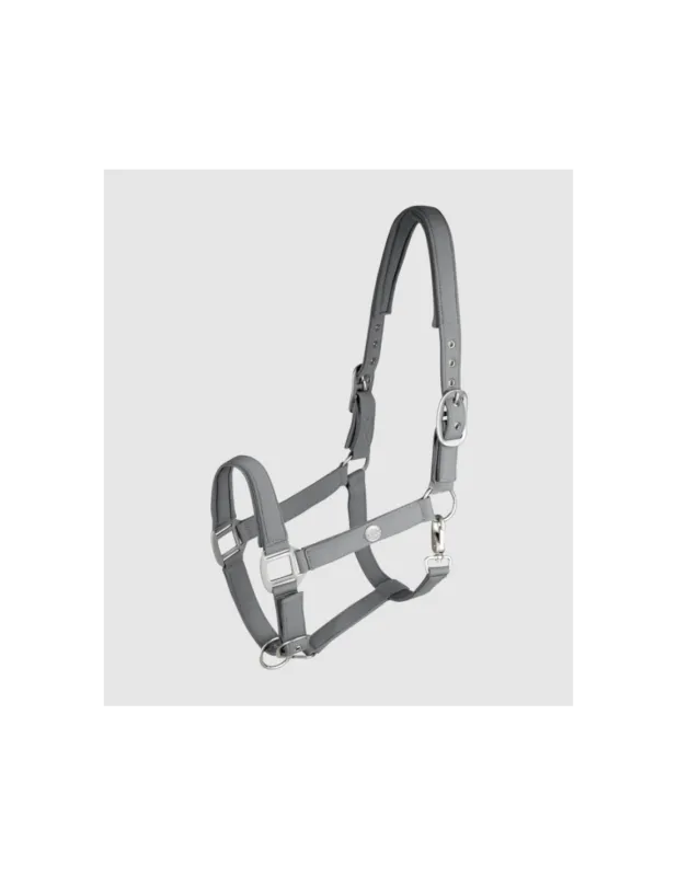 Dernire Chance Licol Trinidad - Waldhausen - Gris Chrome - Poney
