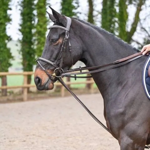 Rnes allemandes cuir plat - Jump'in - Full - Havane Acheter En Ligne