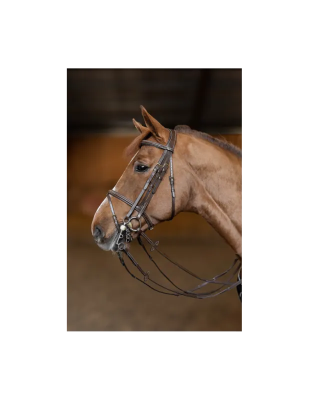 Haute Qualit Bride de Jumping Double Jump - HFI - Noir - Cob