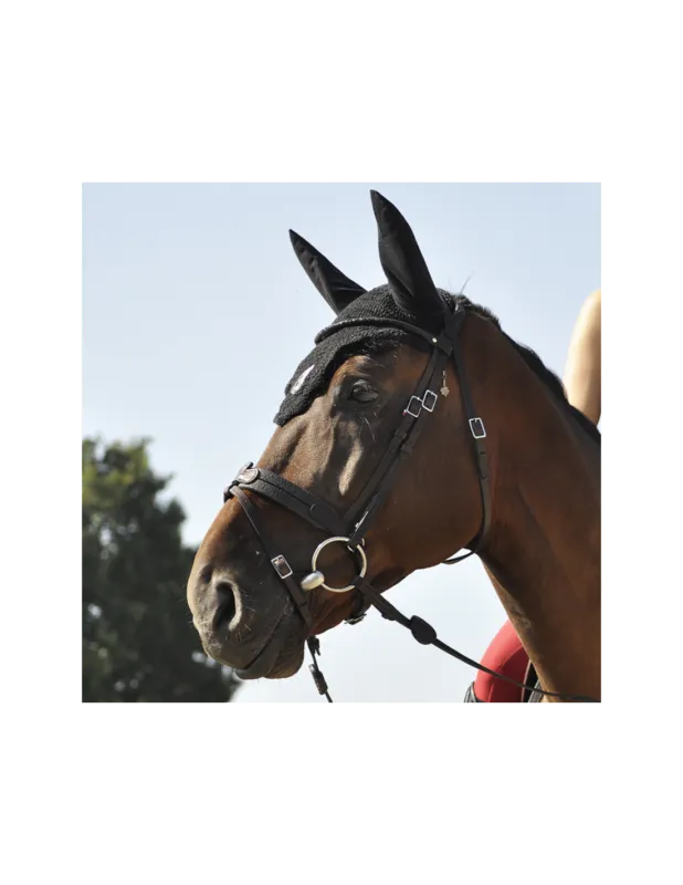 Commander Maintenant Bridon volution Soft T Contact Dressage avec Pull Back – IHWT – Noir – Cob – Non