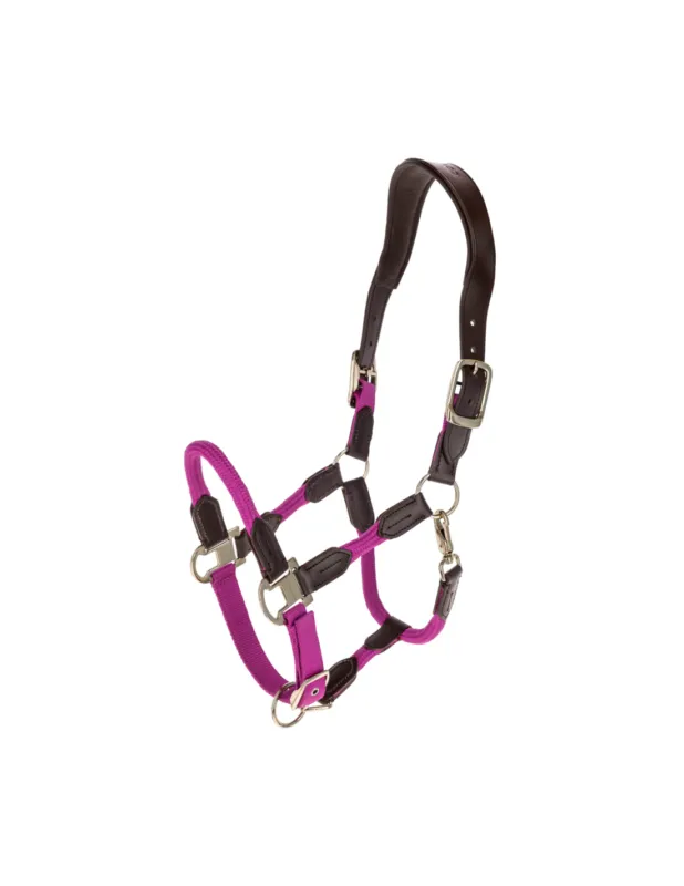 Top Vente Licol Cordano Deluxe - Covalliero - Smoked Blue - Pony