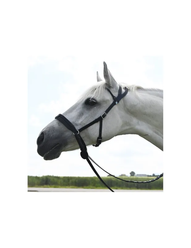 Bridon Evolution Soft T Contact Bitless - IHWT - Noir - Cob - Non Nouvelle Collection