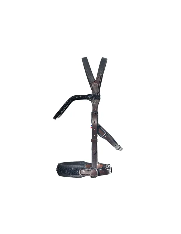 Bridon Evolution Contact Disco Bitless - IHWT - Noir - Cob - Noir - Oui Offre Limite