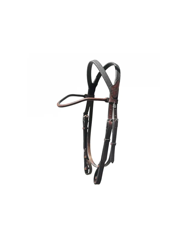Offre Limite Bridon Evolution Sans Muserolle – IHWT – Noir – Cob – Non
