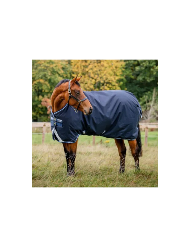Acheter En Ligne Amigo 1200D Turnout 250g - Horseware - 5'6 / 115 cm