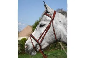 Expdition Rapide Bridon Olympia JMR muserolle croise – brun – poney