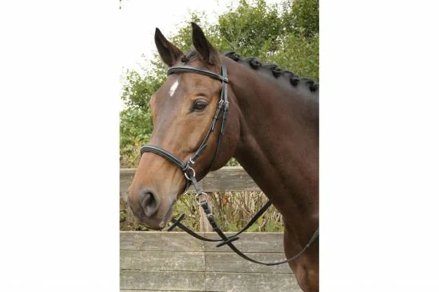 Bridon en cuir Bitless - Noir - cheval Top Vente
