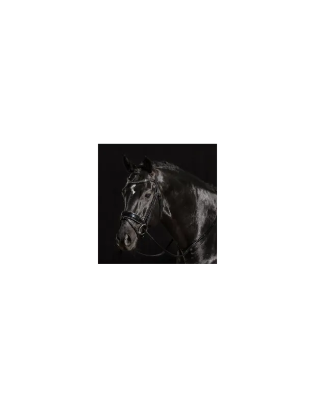Expdi Aujourdhui Bridon Stanford Glam - Schockemhle - Cob