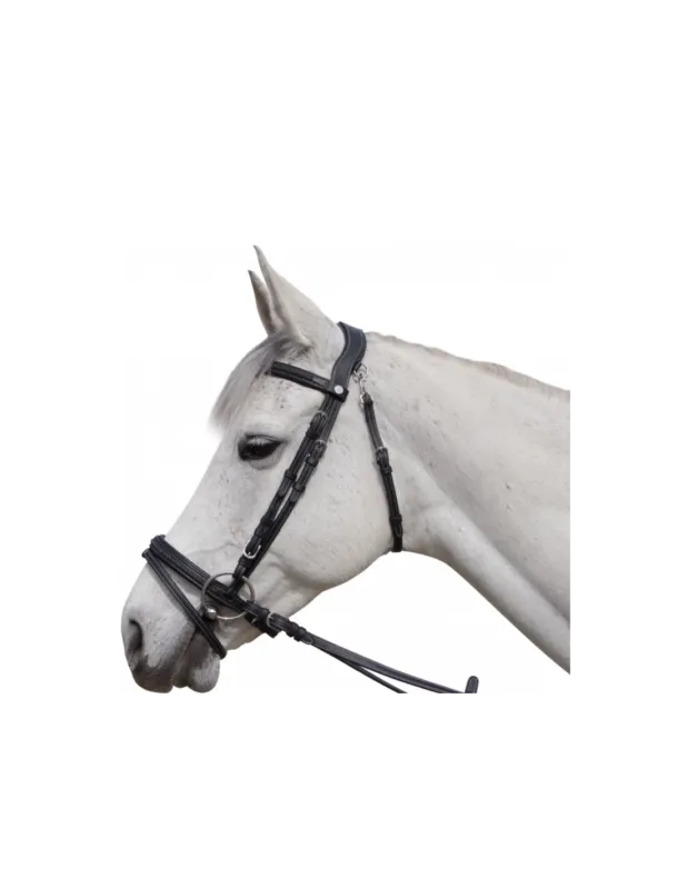 Top Vente Bridon Aachen - Flags&Cup - Marron/Argent - Poney