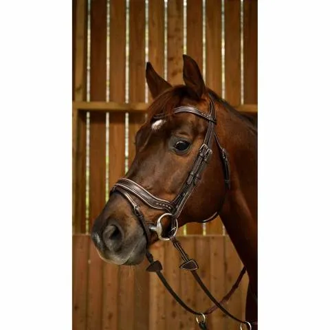 Nouvelle Collection Bridon Fit de la Working Collection - Dy'on - brun - poney