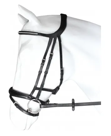 Authentique Bridon Crown – Horka – Cob