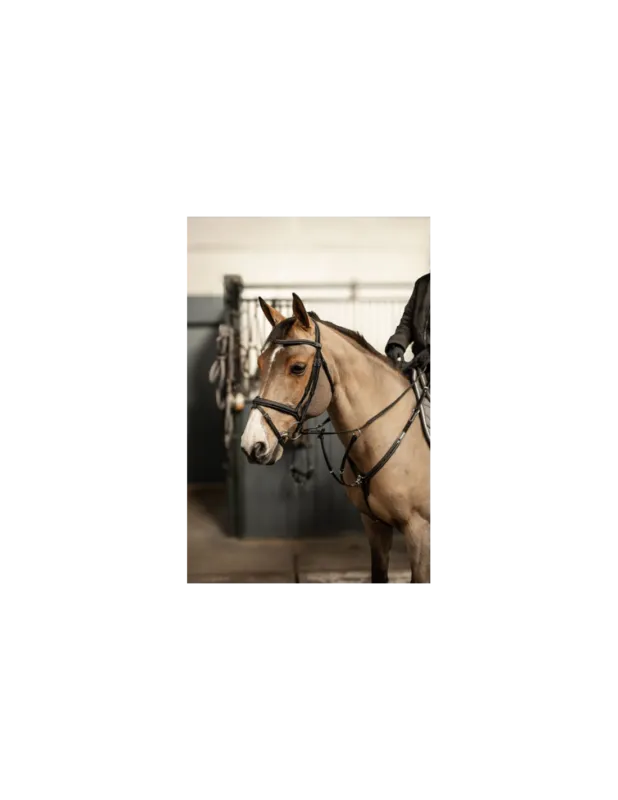 Must-Have Bridon Milano - HFI - Noir/Argent - Cob