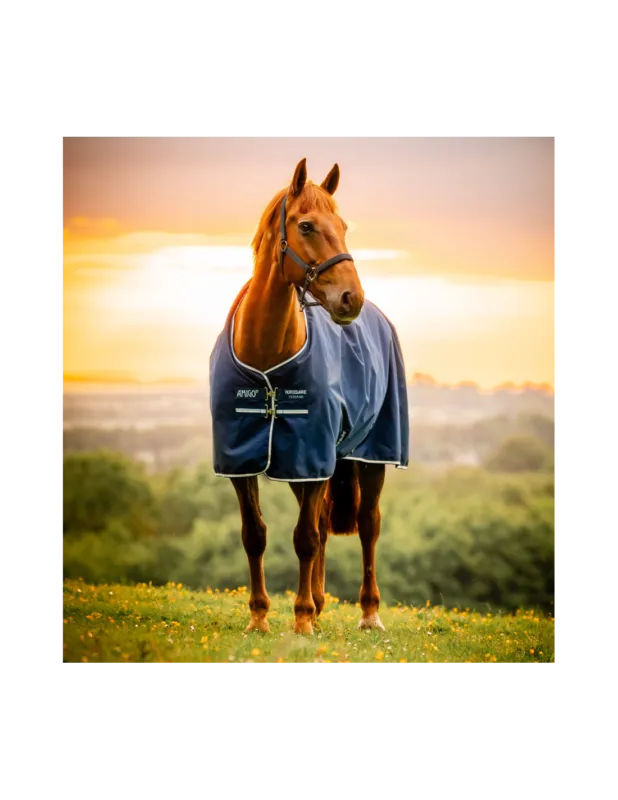 Solde Amigo Ripstop 900D Turnout 0g - Horseware - 5'6 / 115 cm