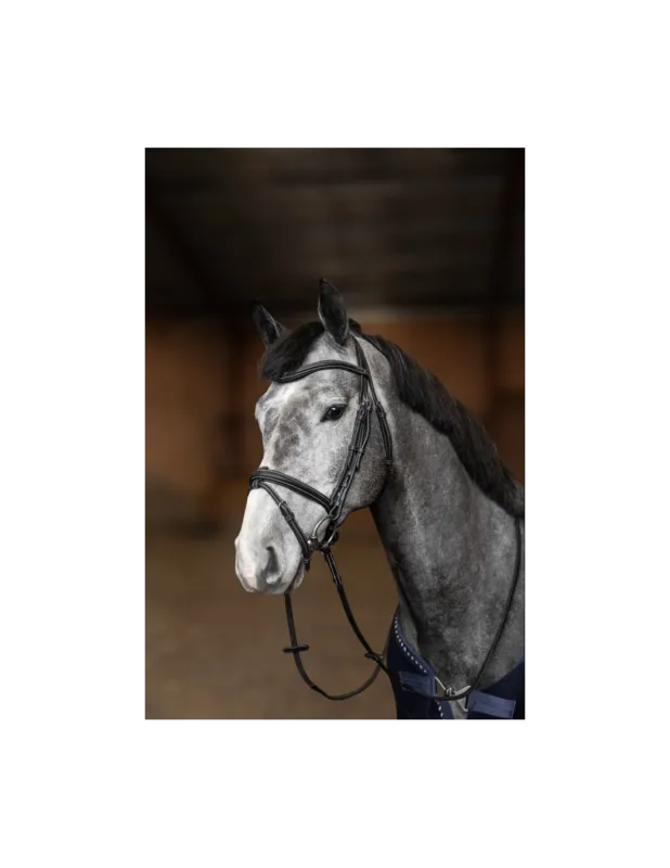 Bridon Flex - HFI - Noir - Cob Commande En Gros