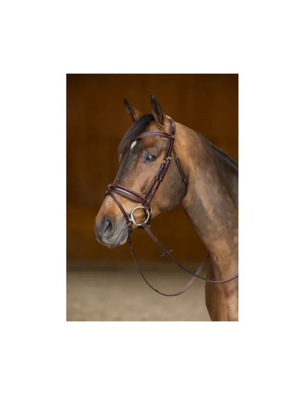 Bridon Pull-Back Verona - HFI - Noir/Argent - Cob Affaire Saisir