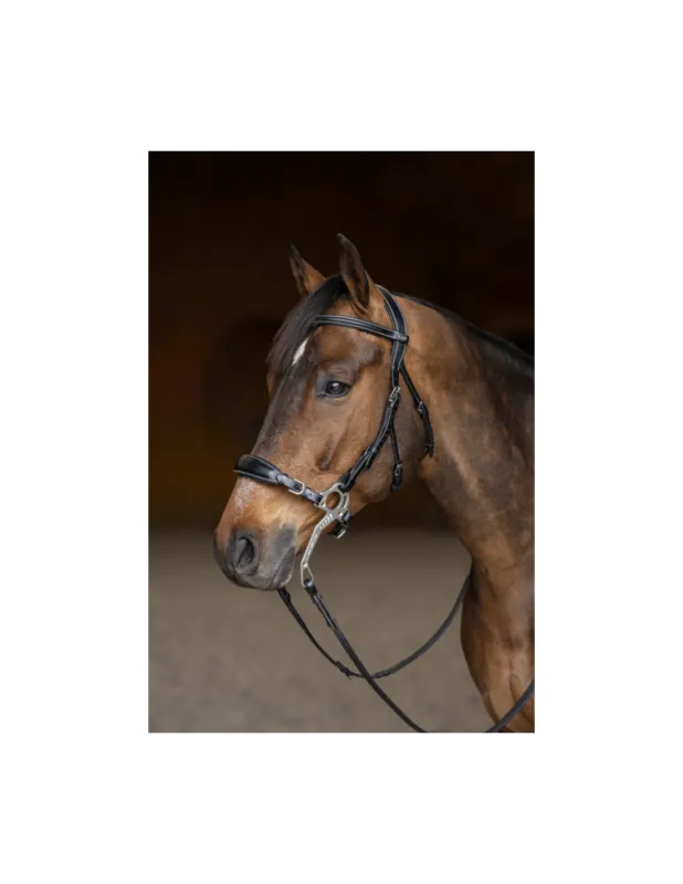 Bridon Hackamore - HFI - Noir - Cob Bon Plan