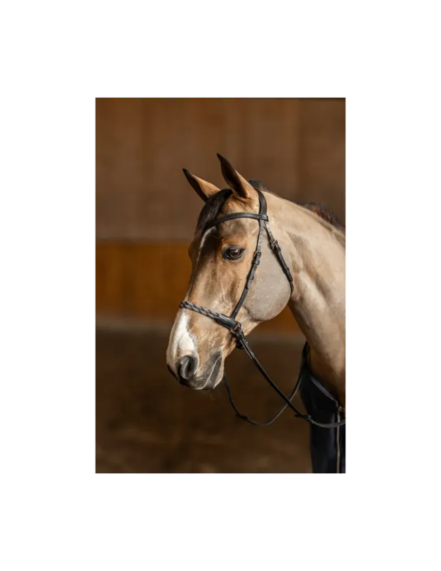 Dernire Chance Bridon sans mors Freedom - HFI - Noir - Cob
