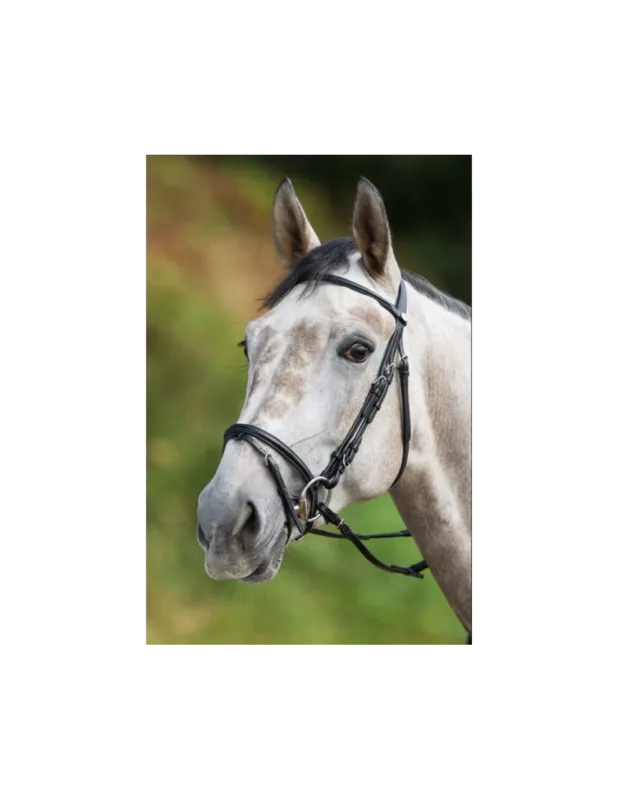 Nouvelle Collection Bridon Regular Bridle - HFI - Noir - Poney