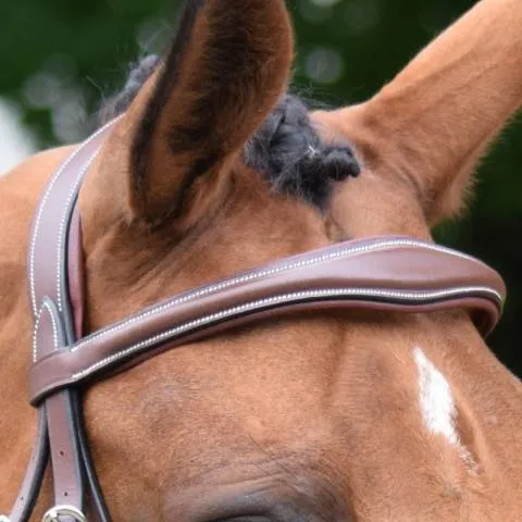 Solde Frontal Bruxelles - Collection One Jump in - Cob - Noir